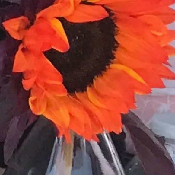 Meet your Posher, Cecilia - Picture 1 of 1